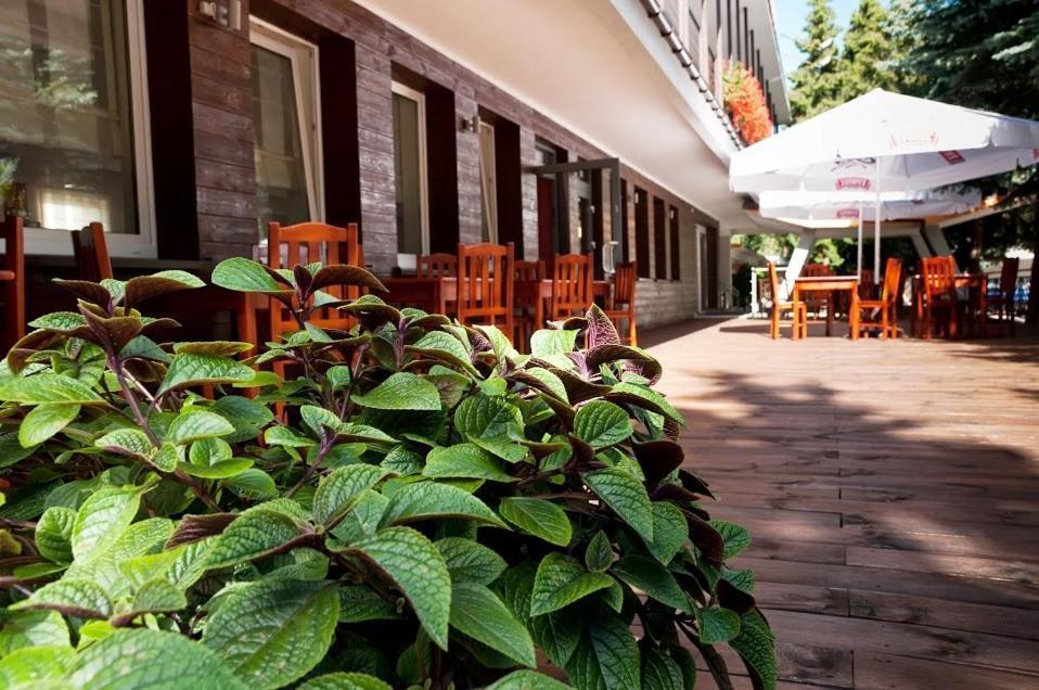 Vistula Hotel Swiecie  Exterior photo